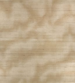 Caractere Wallpaper by Zinc Spun Gold