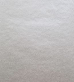 Carla Wallpaper by 1838 Wallcoverings Ivory
