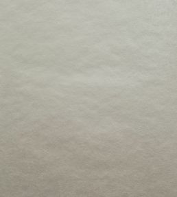 Carla Wallpaper by 1838 Wallcoverings Natural