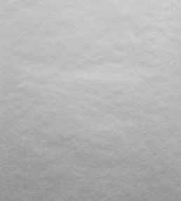Carla Wallpaper by 1838 Wallcoverings Silver