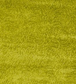 Cartouche Fabric by Designers Guild Moss