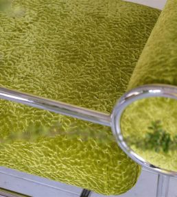 Cartouche Fabric by Designers Guild Moss