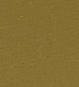 Paris Texas Fabric by Casamance Pistache