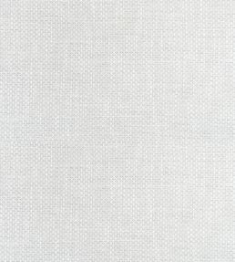 Cascade Fabric by Thibaut Platinum