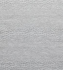 Castus Fabric by Clarke & Clarke Dove