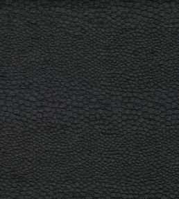 Castus Fabric by Clarke & Clarke Ebony