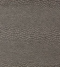 Castus Fabric by Clarke & Clarke Espresso