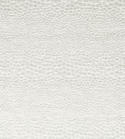 Castus Fabric by Clarke & Clarke Ivory