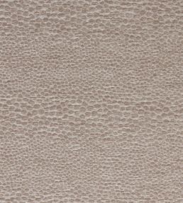 Castus Fabric by Clarke & Clarke Mink