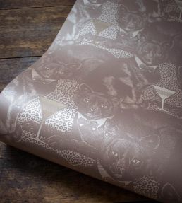 Cat-titude Wallpaper by Divine Savages Ginger Tom