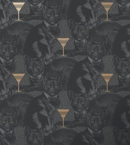 Cat-titude Wallpaper by Divine Savages Savage Shade