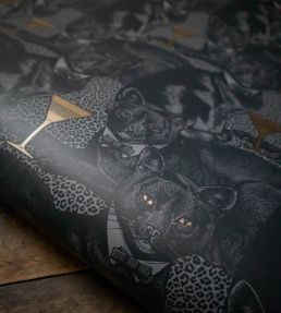 Cat-titude Wallpaper by Divine Savages Savage Shade