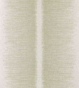 Chaco Wallpaper by Harlequin Olivine