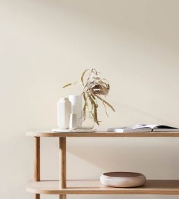 Chalky White 1829 Eggshell Paint by Craig & Rose Chalky White