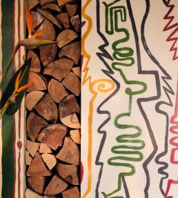Chameleon Wallpaper by MINDTHEGAP Light