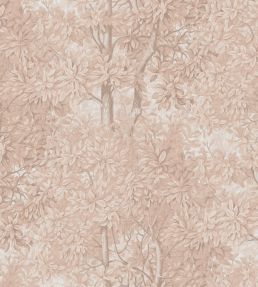 Charles Mural by Sandberg Blush