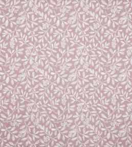 Charlotte Fabric by Prestigious Textiles Rose