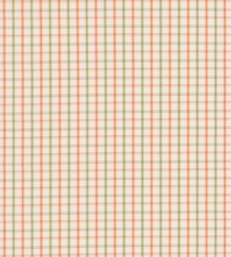 Checkers Fabric by George & Minnie Rose/Sage