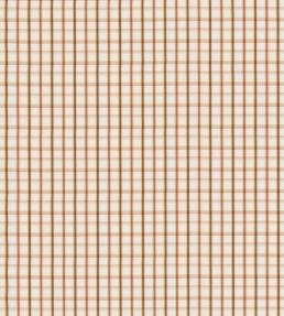 Checkers Fabric by George & Minnie Walnut/Aqua