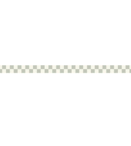 Checks Border Wallpaper by Caselio Vert Amande
