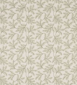 Chelsea Fern Fabric by GP & J Baker Green