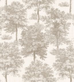 Chestnut Tree Wallpaper by Coordonne Ecru