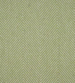 Chika Fabric by Sanderson Apple