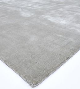 Asiatic Chrome rug Silver CHRO120180SILV Silver