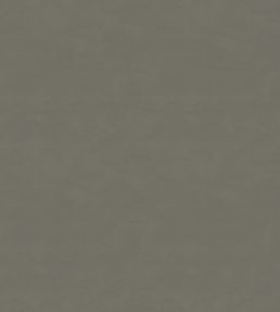 Cipriana Fabric by Warwick Bronze