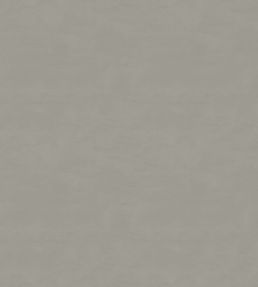 Cipriana Fabric by Warwick Champagne