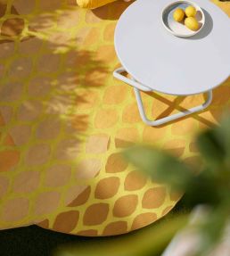 GAN Citrus rug Lemon 345930-US Lemon