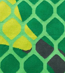 GAN Citrus rug Lime 345932-US Lime