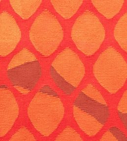 GAN Citrus rug Orange 345928-US Orange