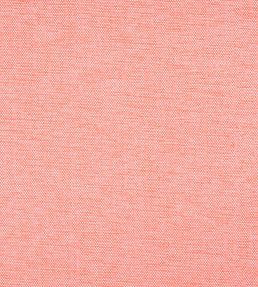 Clara Fabric by Thibaut Coral