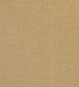 Albany Fabric by Clarke & Clarke Antique