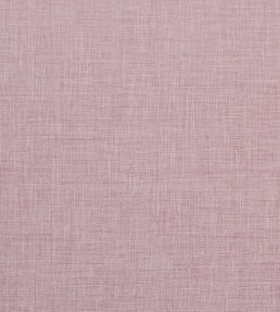 Albany Fabric by Clarke & Clarke Blush