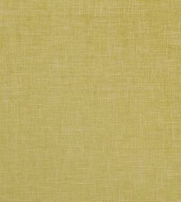 Albany Fabric by Clarke & Clarke Citron