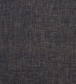 Albany Fabric by Clarke & Clarke Ebony