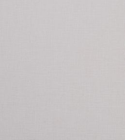 Albany Fabric by Clarke & Clarke Ivory