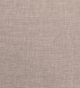 Albany Fabric by Clarke & Clarke Latte