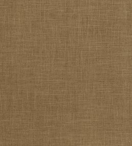 Albany Fabric by Clarke & Clarke Moss