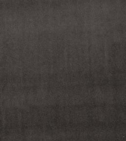 Alvar Fabric by Clarke & Clarke Charcoal