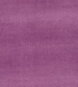 Alvar Fabric by Clarke & Clarke Heather