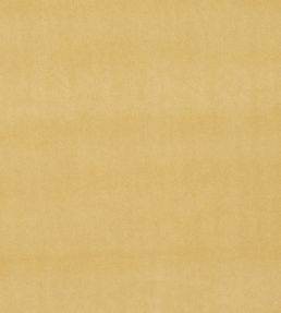 Alvar Fabric by Clarke & Clarke Ochre