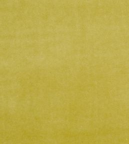 Alvar Fabric by Clarke & Clarke Olive