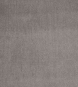 Alvar Fabric by Clarke & Clarke Ash