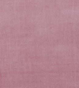 Alvar Fabric by Clarke & Clarke Blush