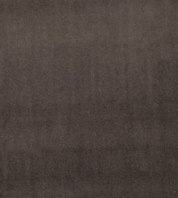 Alvar Fabric by Clarke & Clarke Bracken