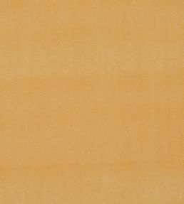 Alvar Fabric by Clarke & Clarke Gold