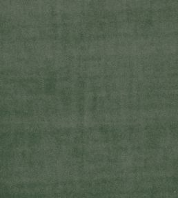 Alvar Fabric by Clarke & Clarke Herb